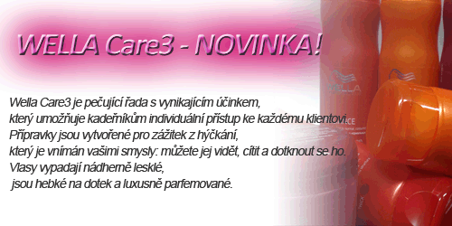 Vesel vnoce 2010